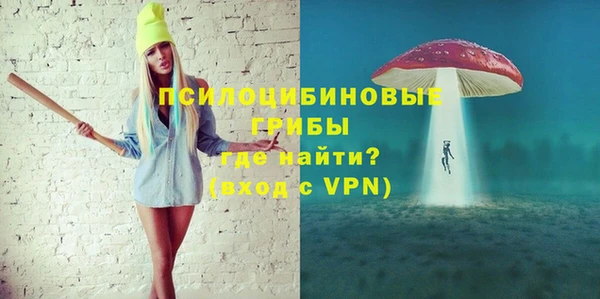прущая мука Абаза