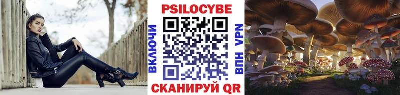Псилоцибиновые грибы Cubensis Среднеколымск